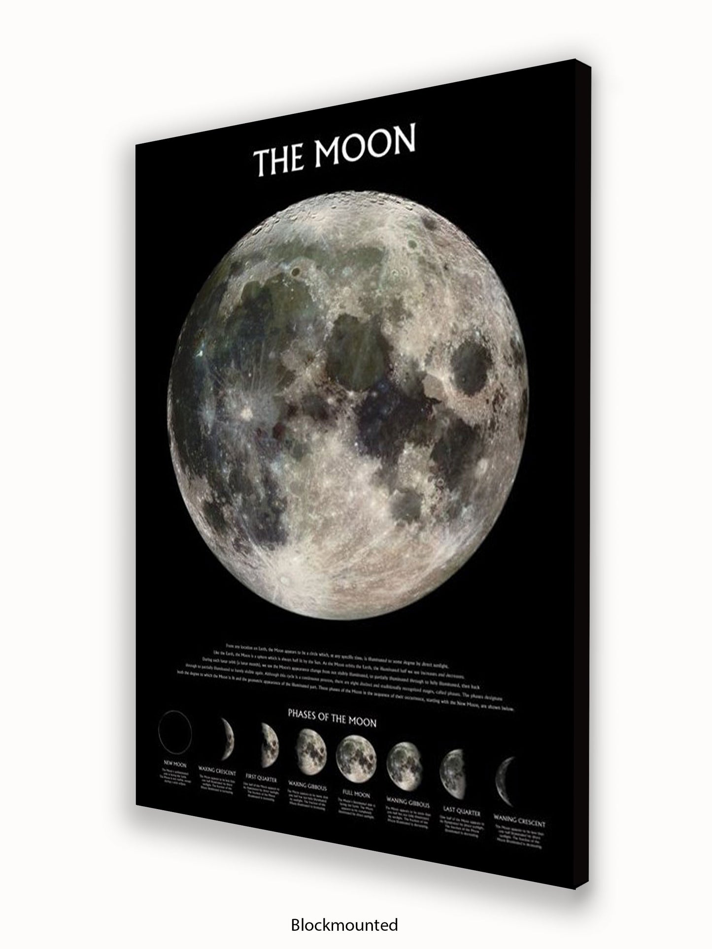 Moon  Phases Poster