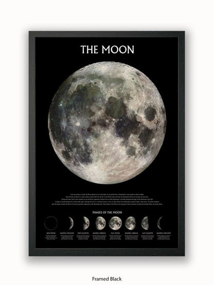 Moon  Phases Poster