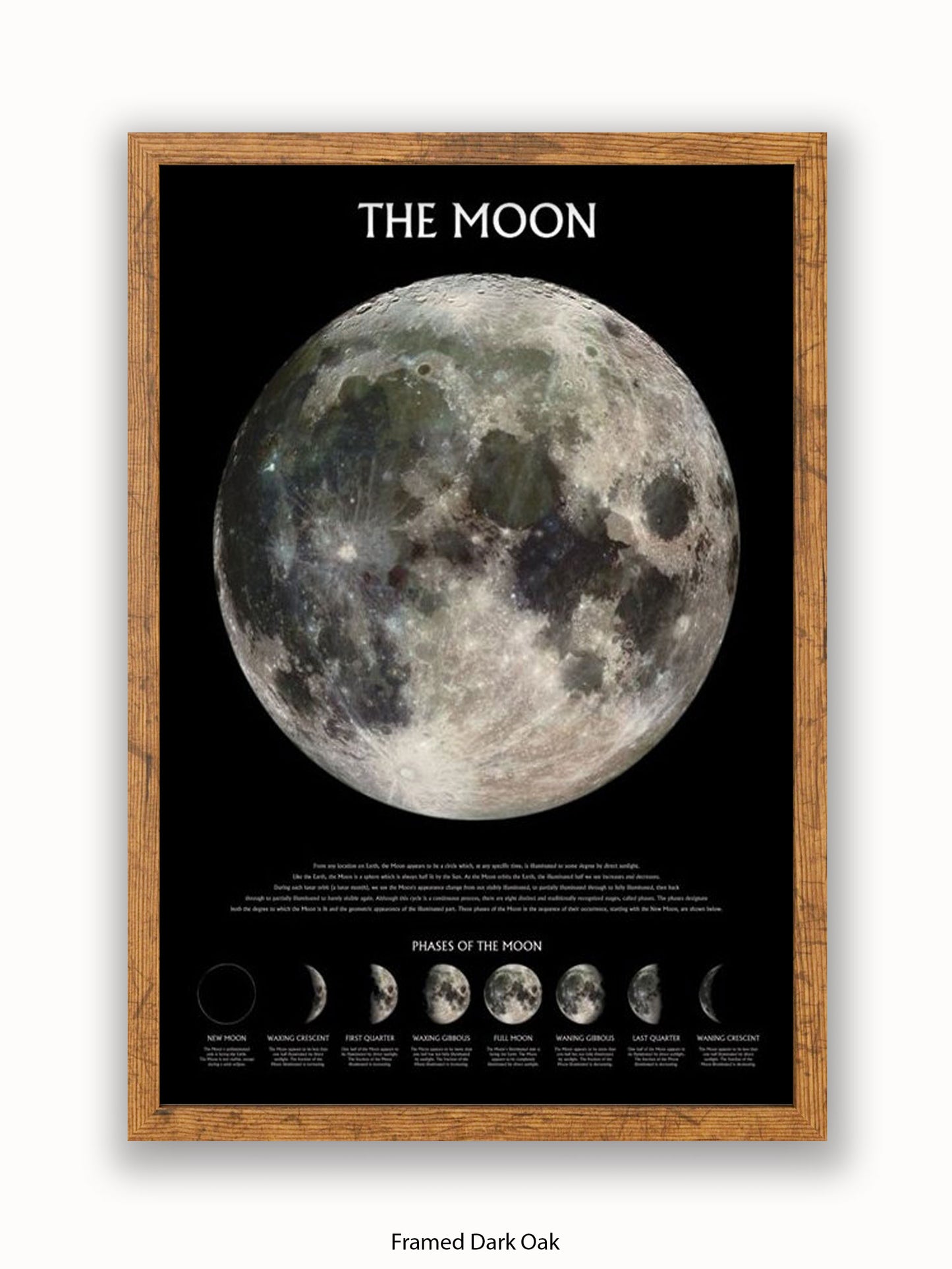 Moon  Phases Poster