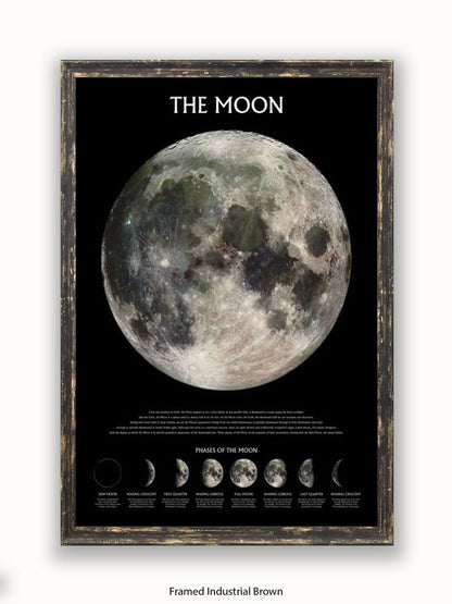 Moon  Phases Poster