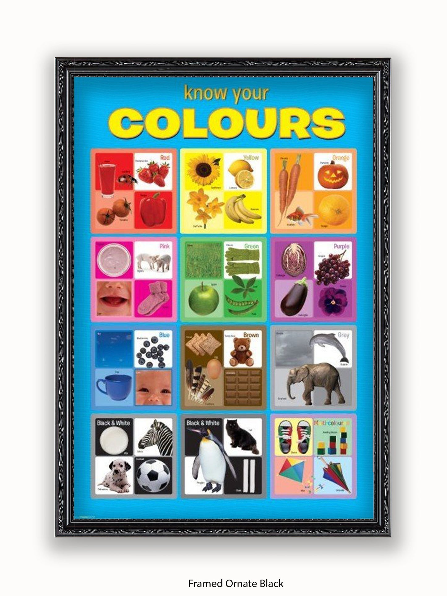 Know Your Colours Poster