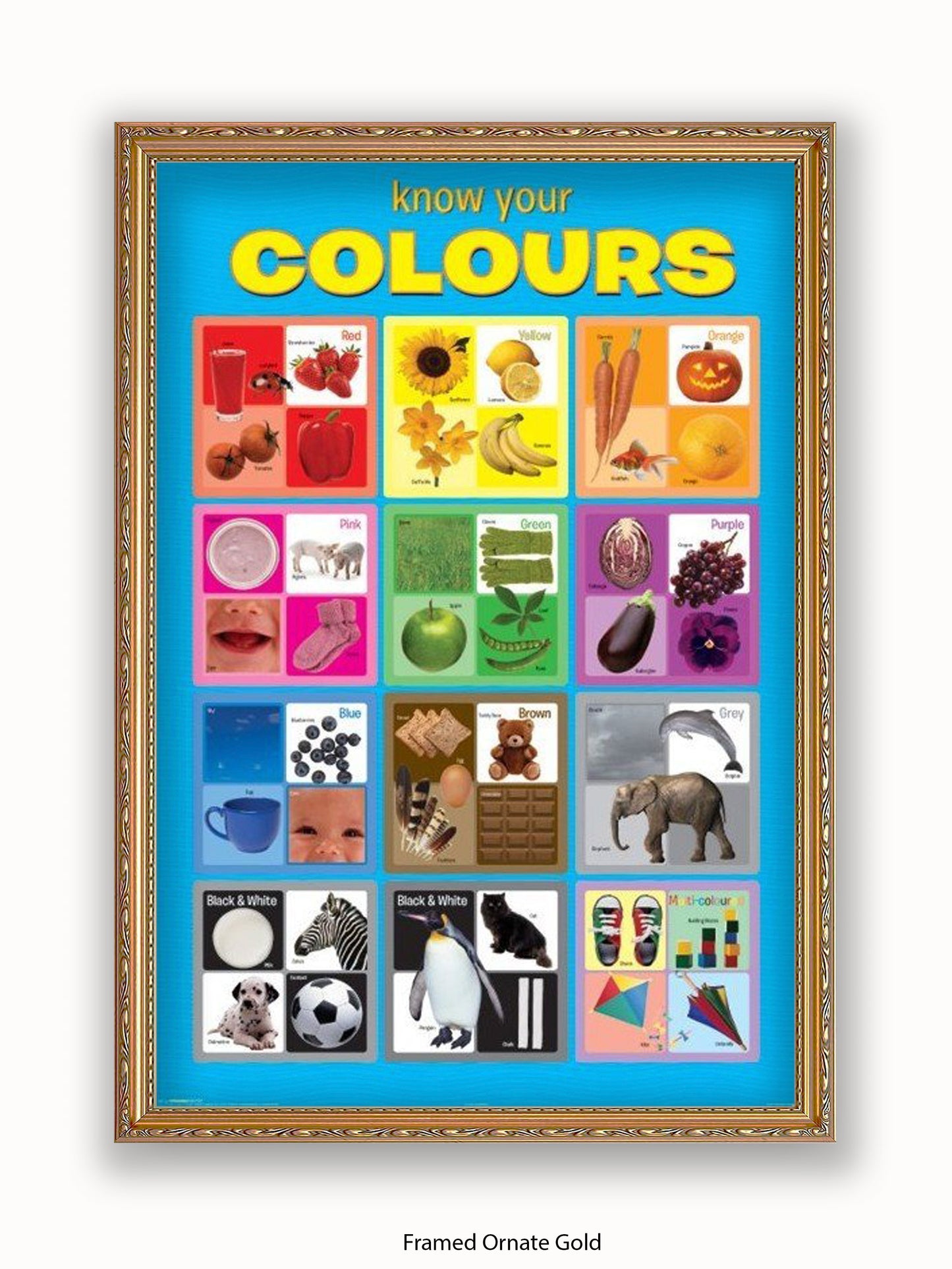 Know Your Colours Poster