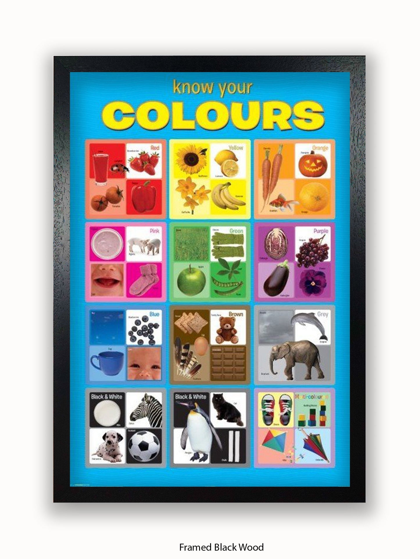 Know Your Colours Poster