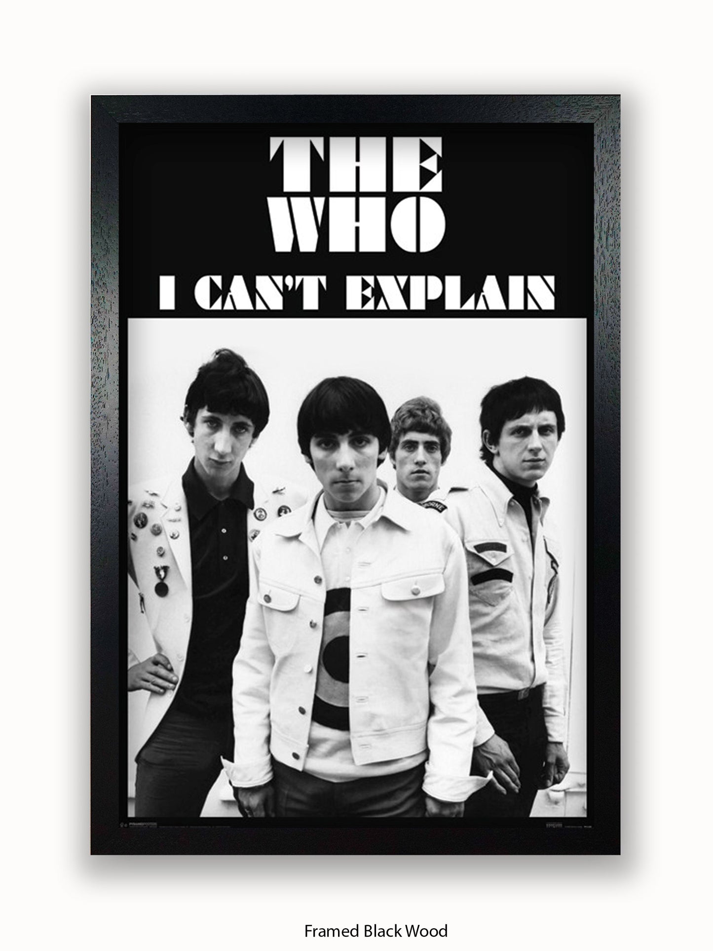 Who   I Can't Explain Poster