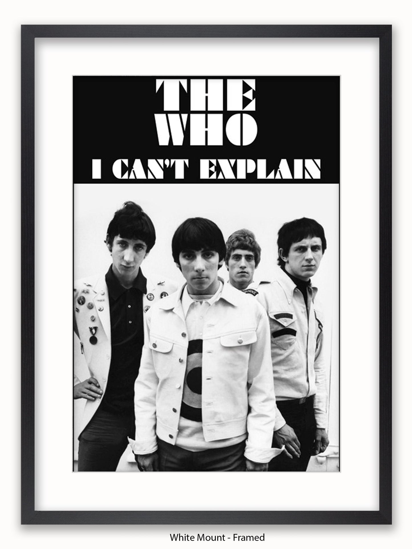 Who   I Can't Explain Poster