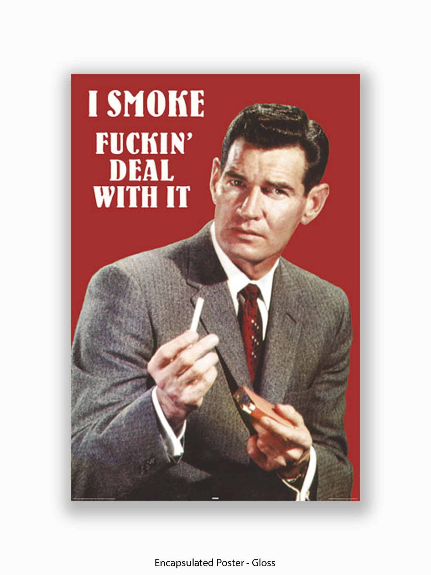 I Smoke Fxxx'in Deal With it Poster