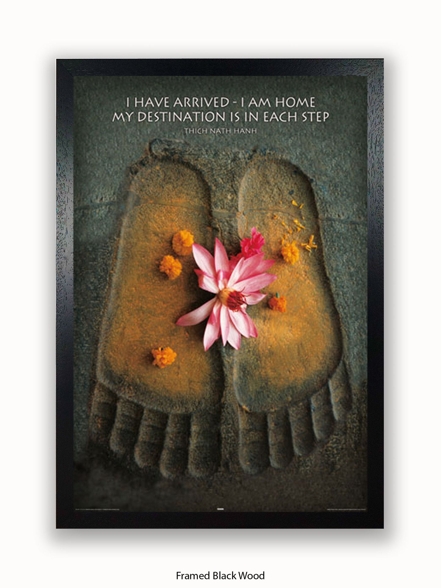 Footprints I Have Arrived Poster