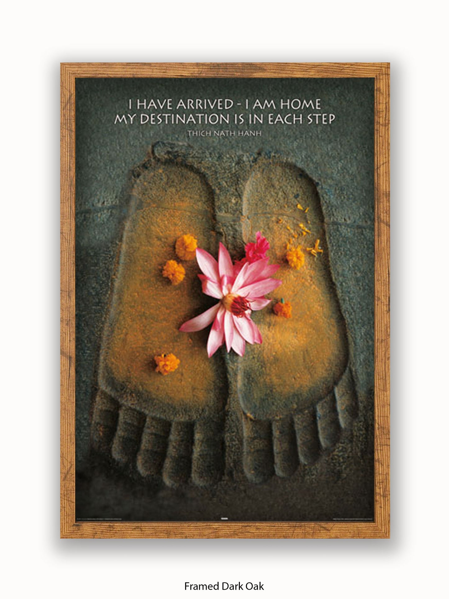 Footprints I Have Arrived Poster