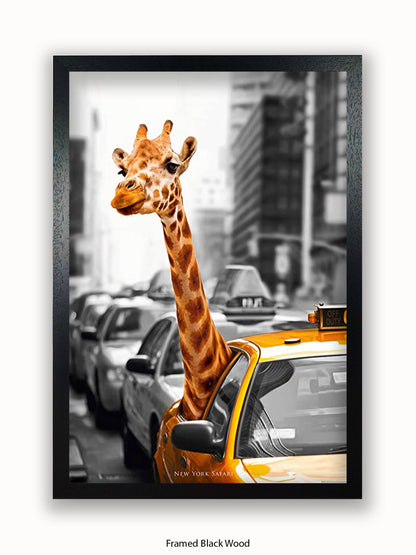 New York Giraffe Safari Poster