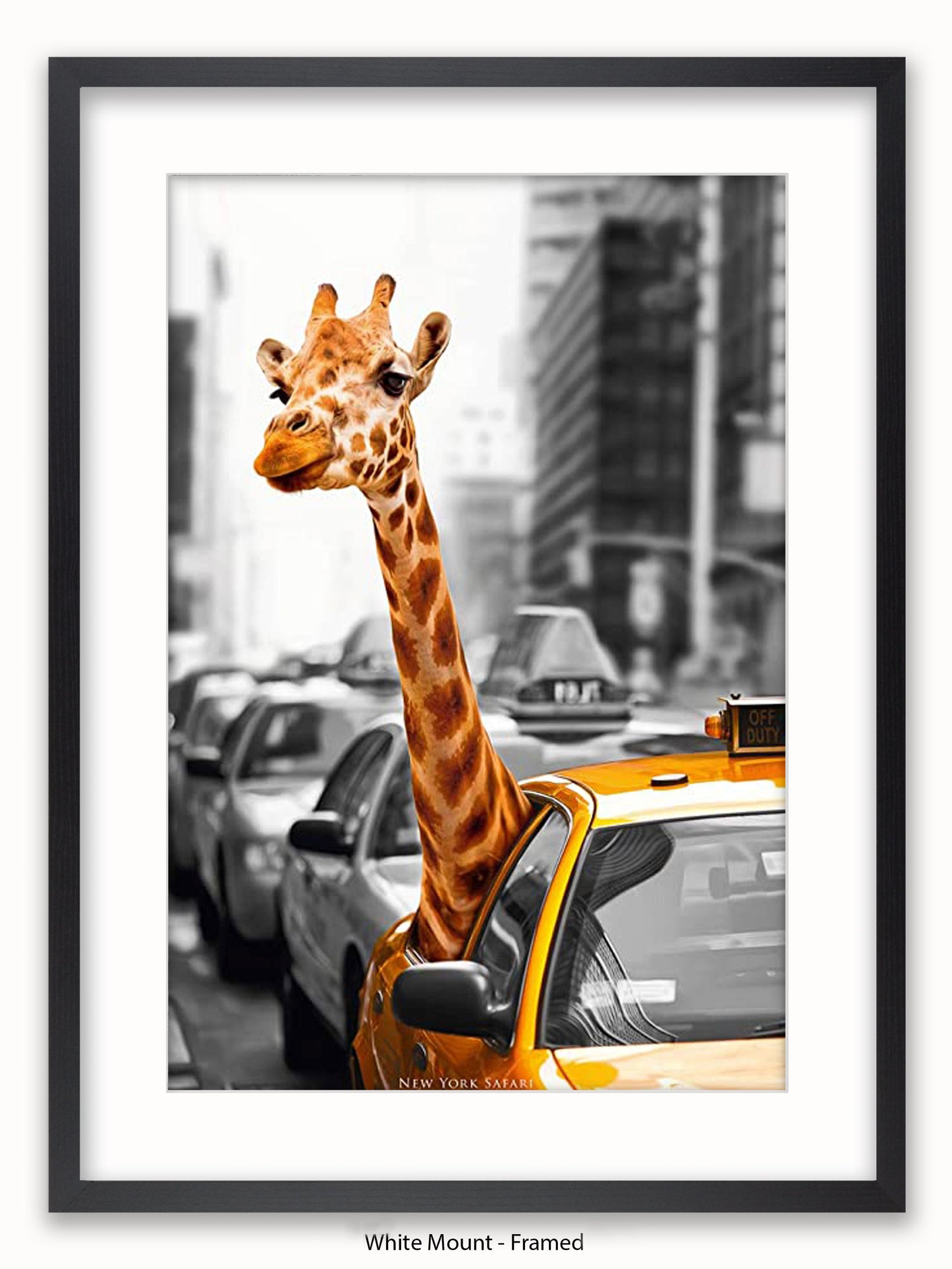 New York Giraffe Safari Poster