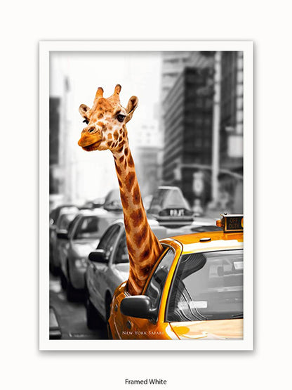 New York Giraffe Safari Poster