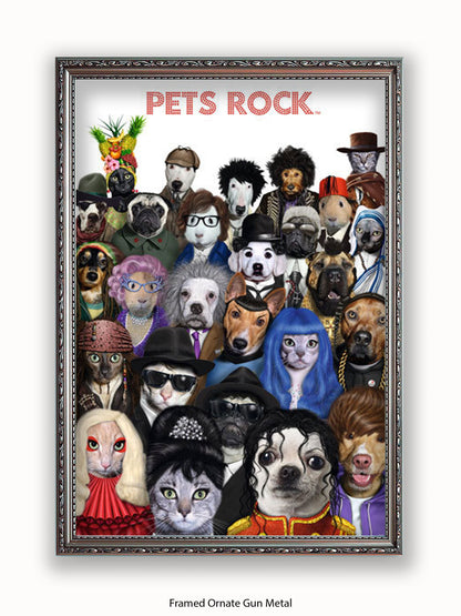 Pets  Rock  Crowd  Scene Poster