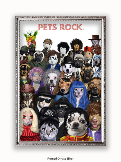 Pets  Rock  Crowd  Scene Poster