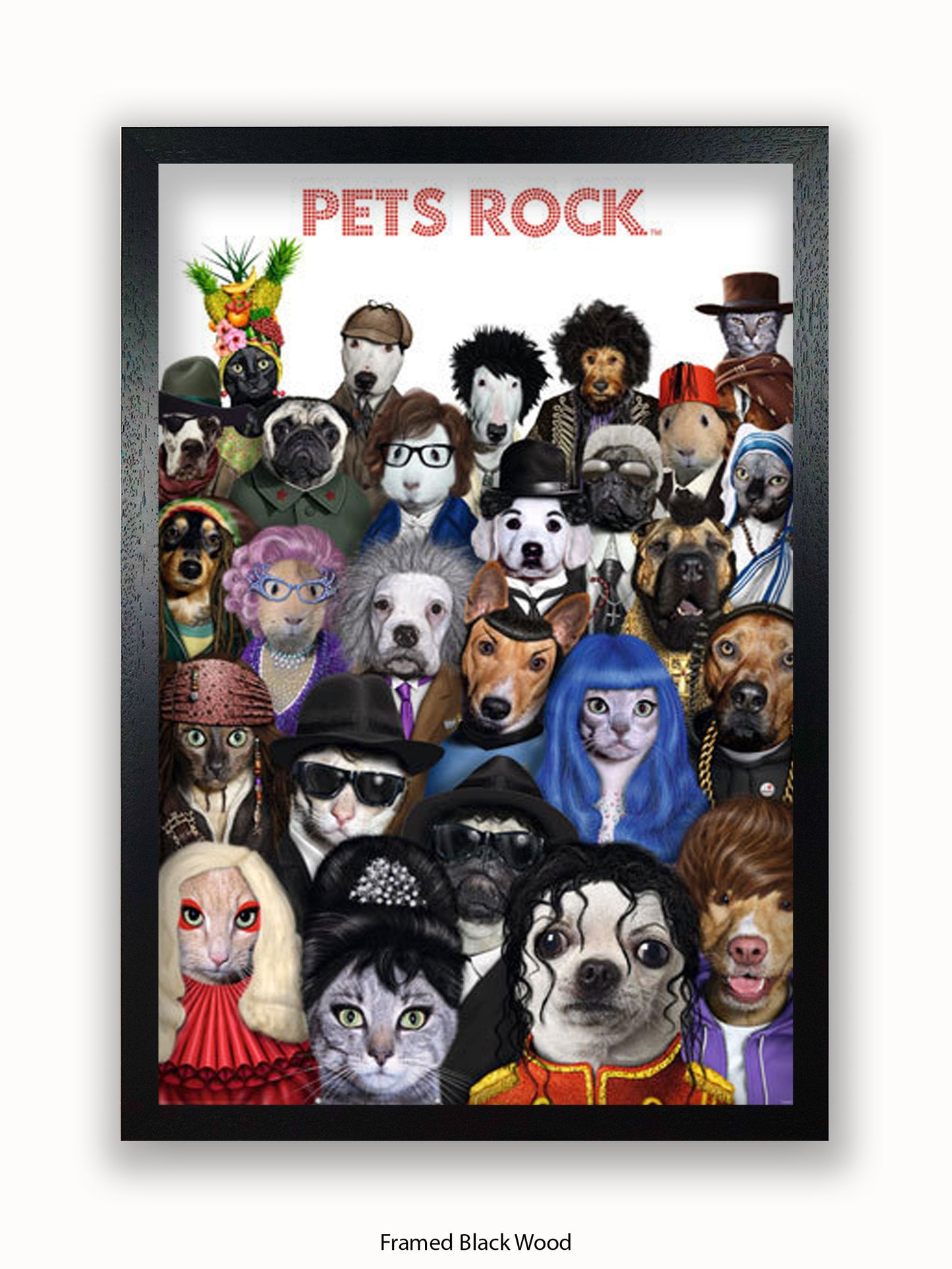 Pets  Rock  Crowd  Scene Poster