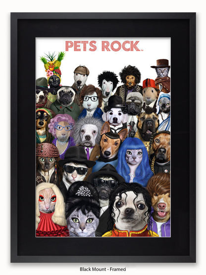 Pets  Rock  Crowd  Scene Poster