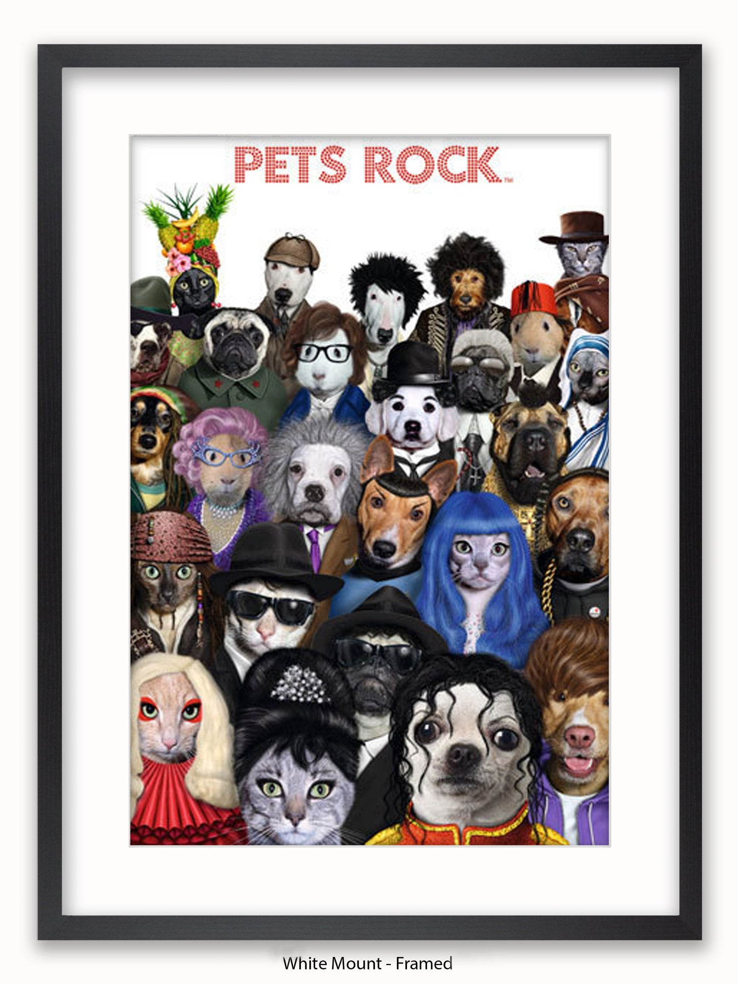 Pets  Rock  Crowd  Scene Poster