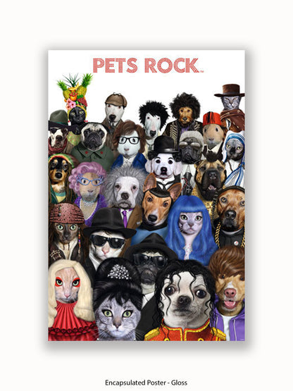 Pets  Rock  Crowd  Scene Poster