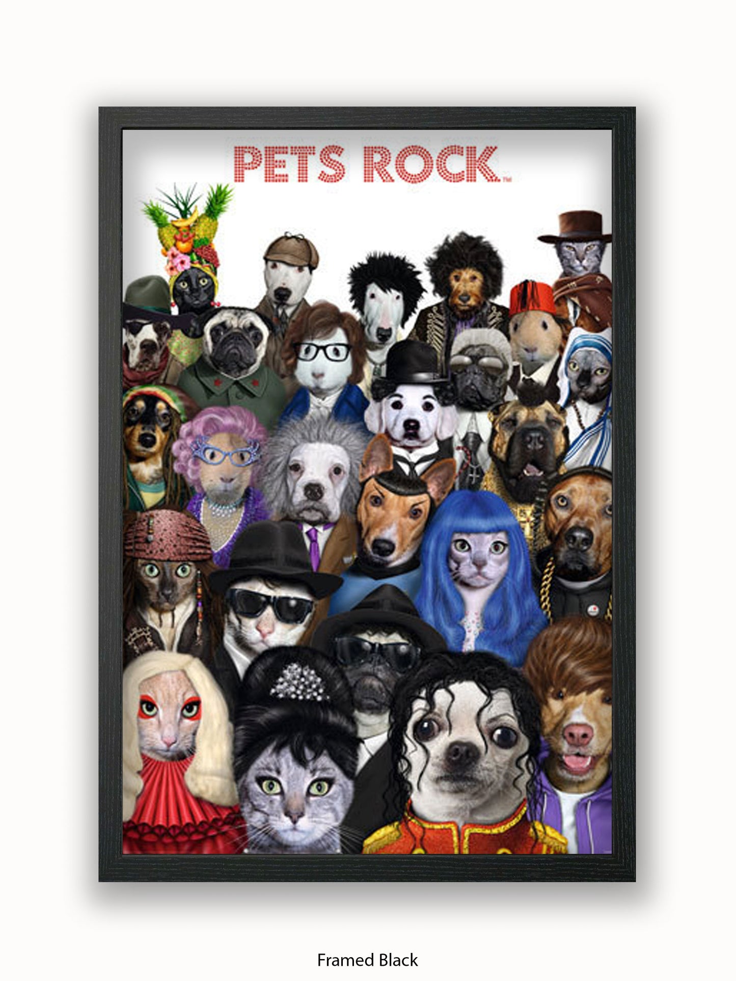 Pets  Rock  Crowd  Scene Poster