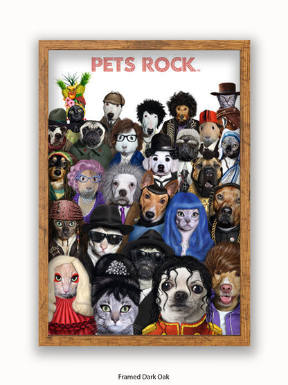 Pets  Rock  Crowd  Scene Poster