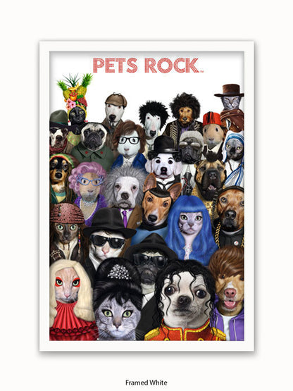 Pets  Rock  Crowd  Scene Poster