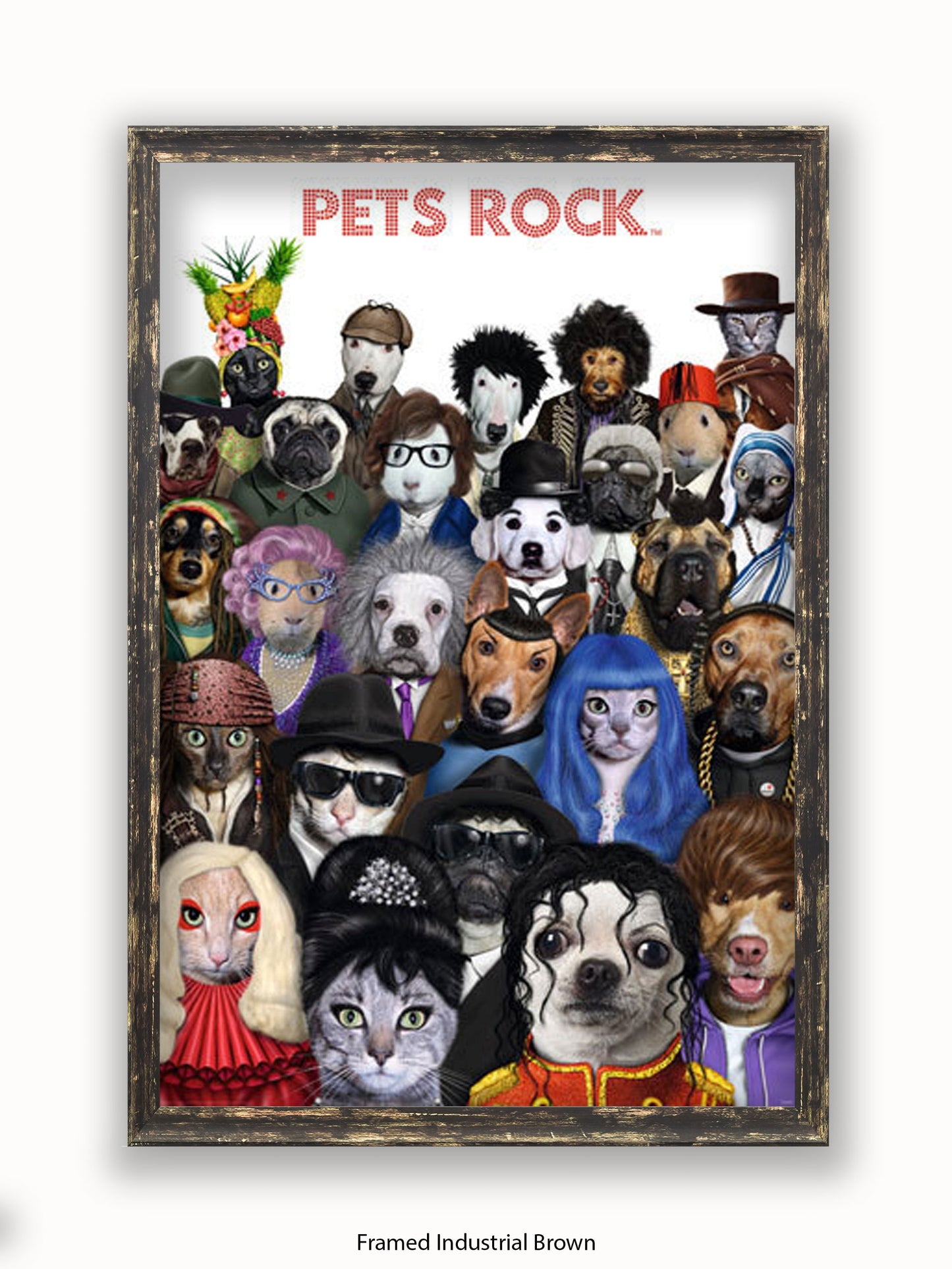 Pets  Rock  Crowd  Scene Poster