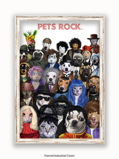 Pets  Rock  Crowd  Scene Poster