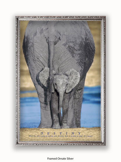 Elephants Destiny Poster