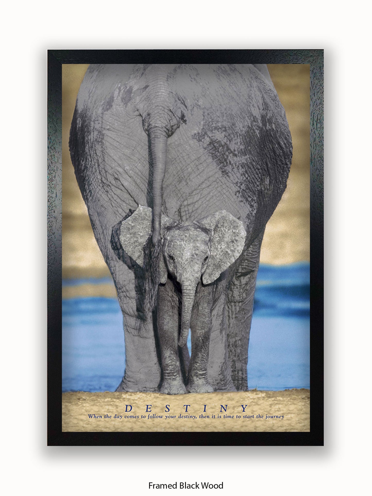 Elephants Destiny Poster