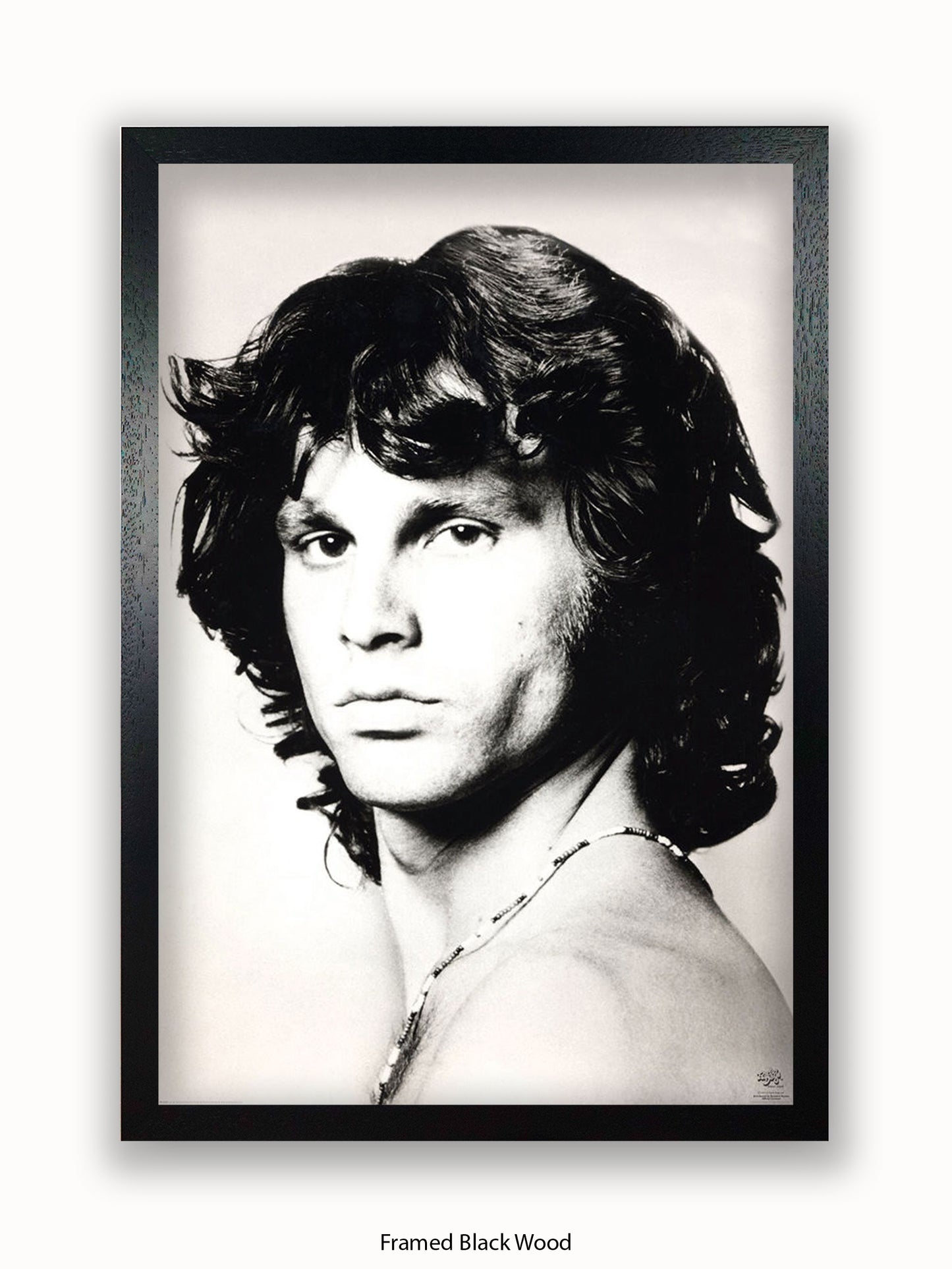 Jim Morrison Side Profile Poster