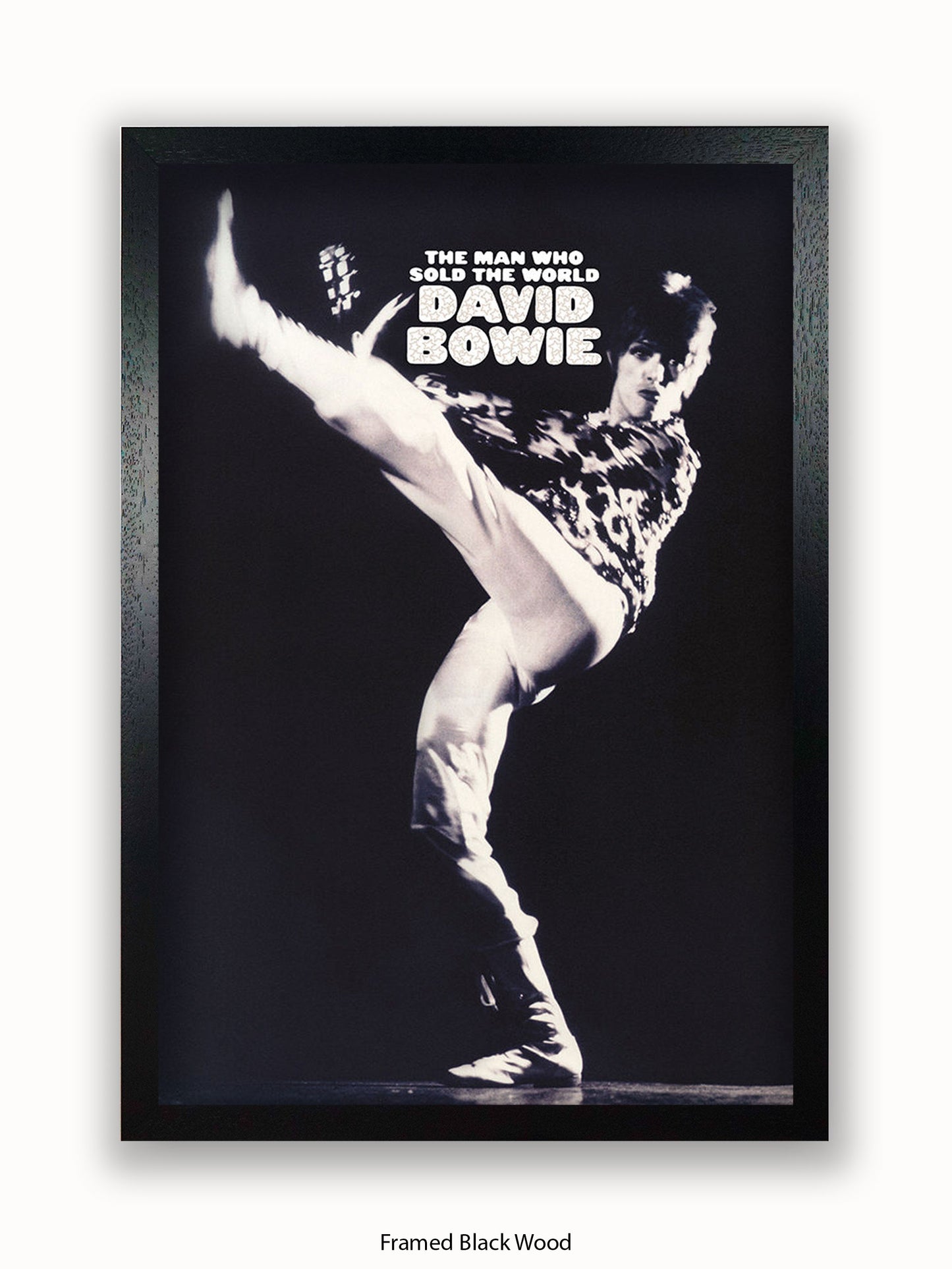 David Bowie The Man Who Sold The World Poster