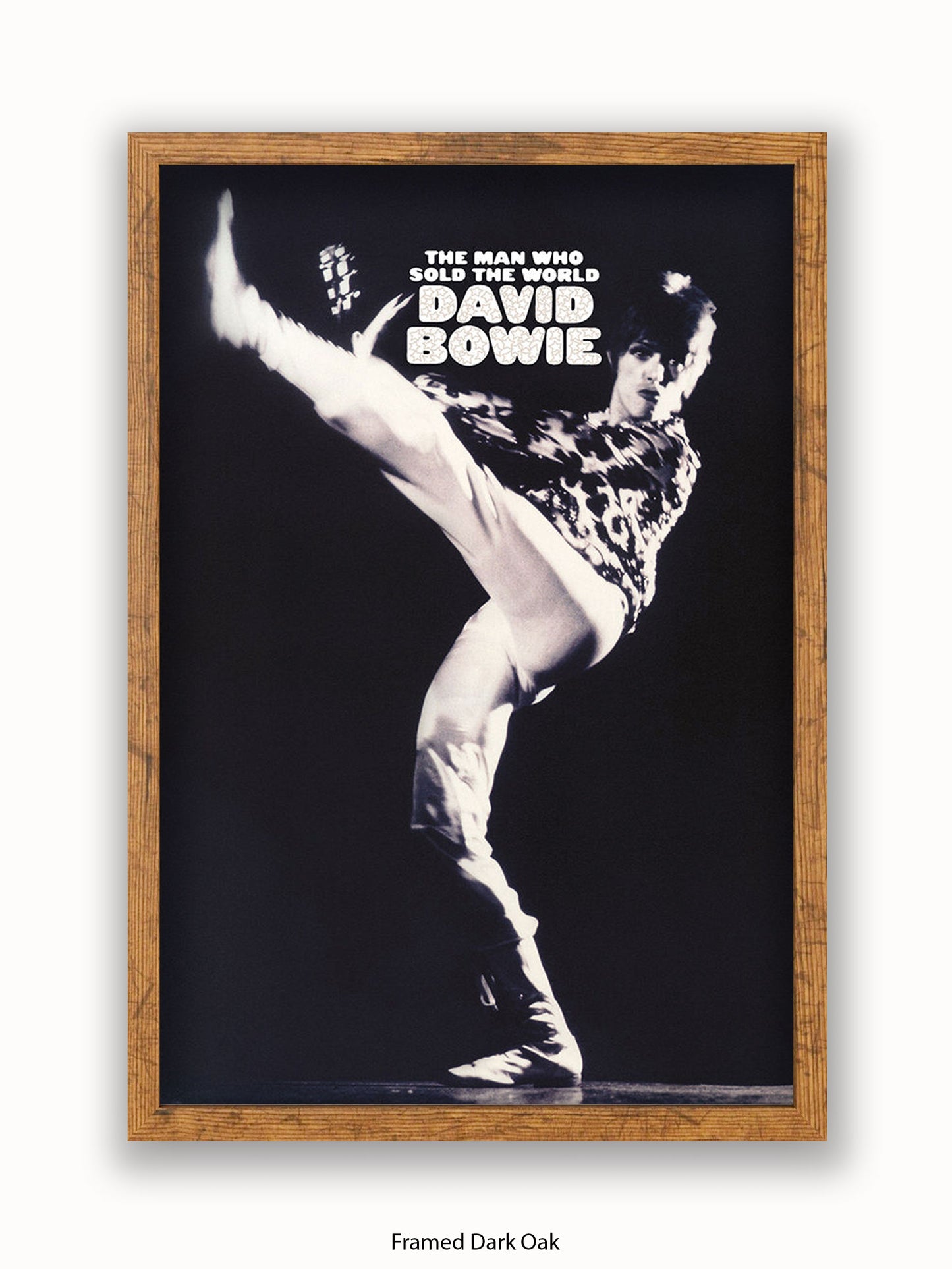 David Bowie The Man Who Sold The World Poster