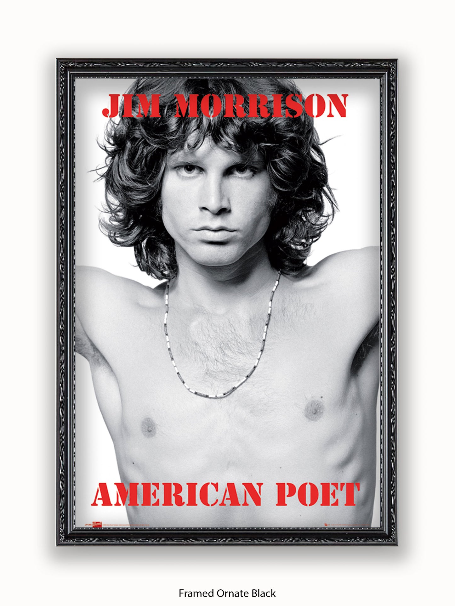 Jim Morrison The Doors An American Poet Poster