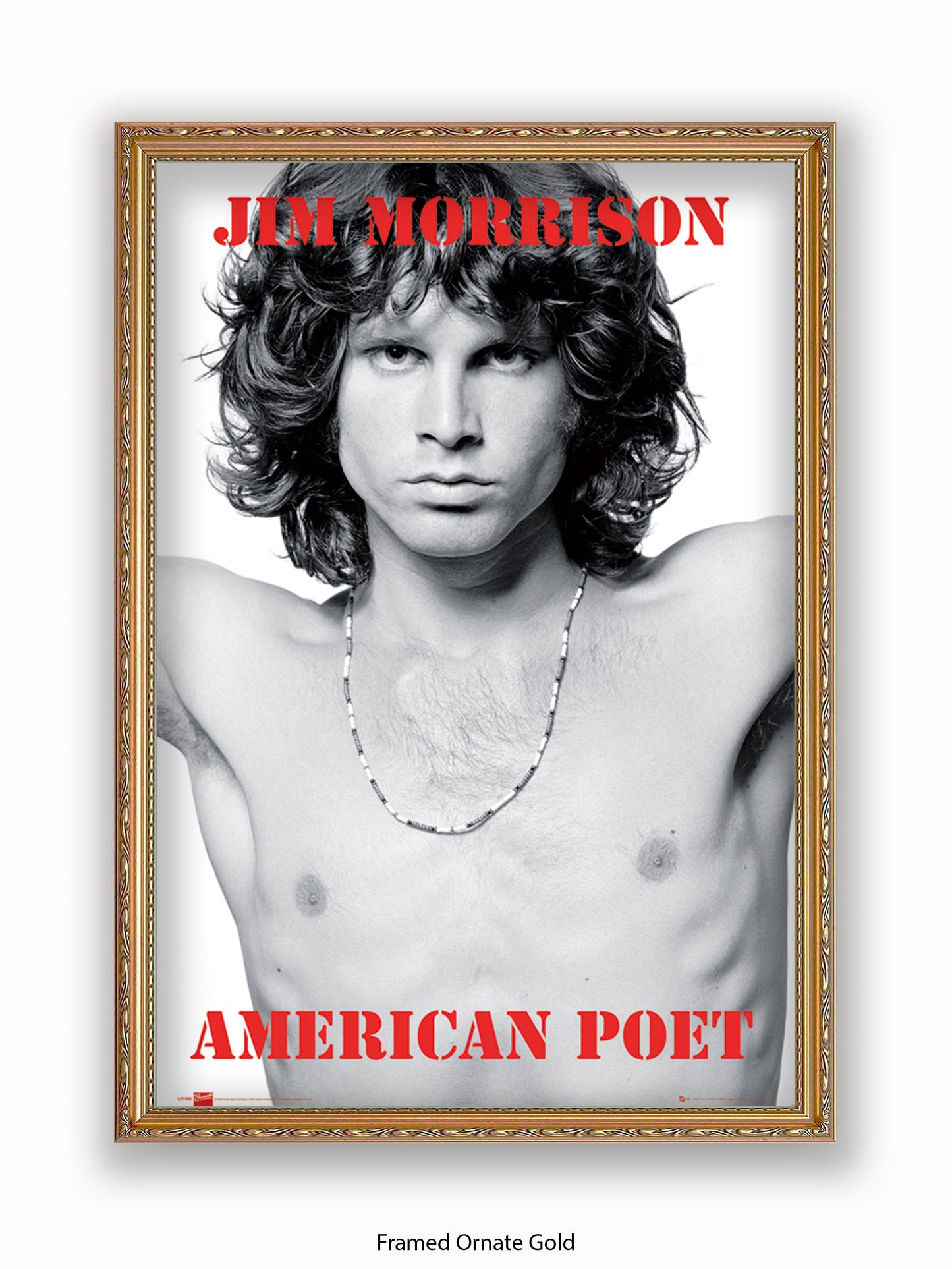 Jim Morrison The Doors An American Poet Poster