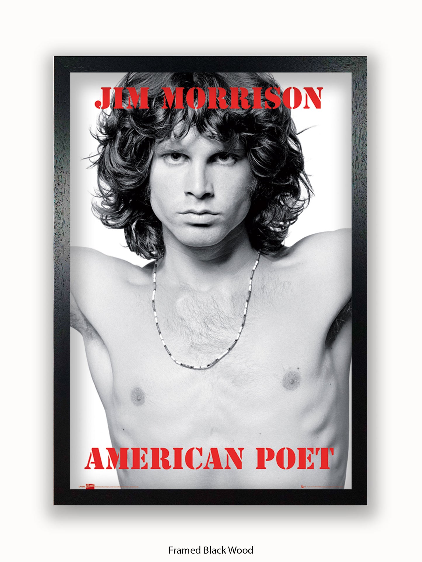 Jim Morrison The Doors An American Poet Poster