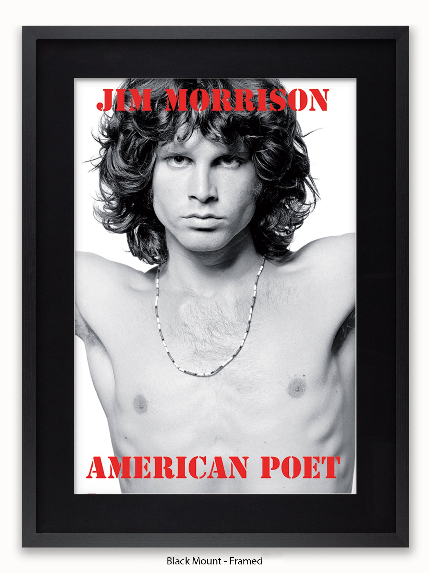 Jim Morrison The Doors An American Poet Poster