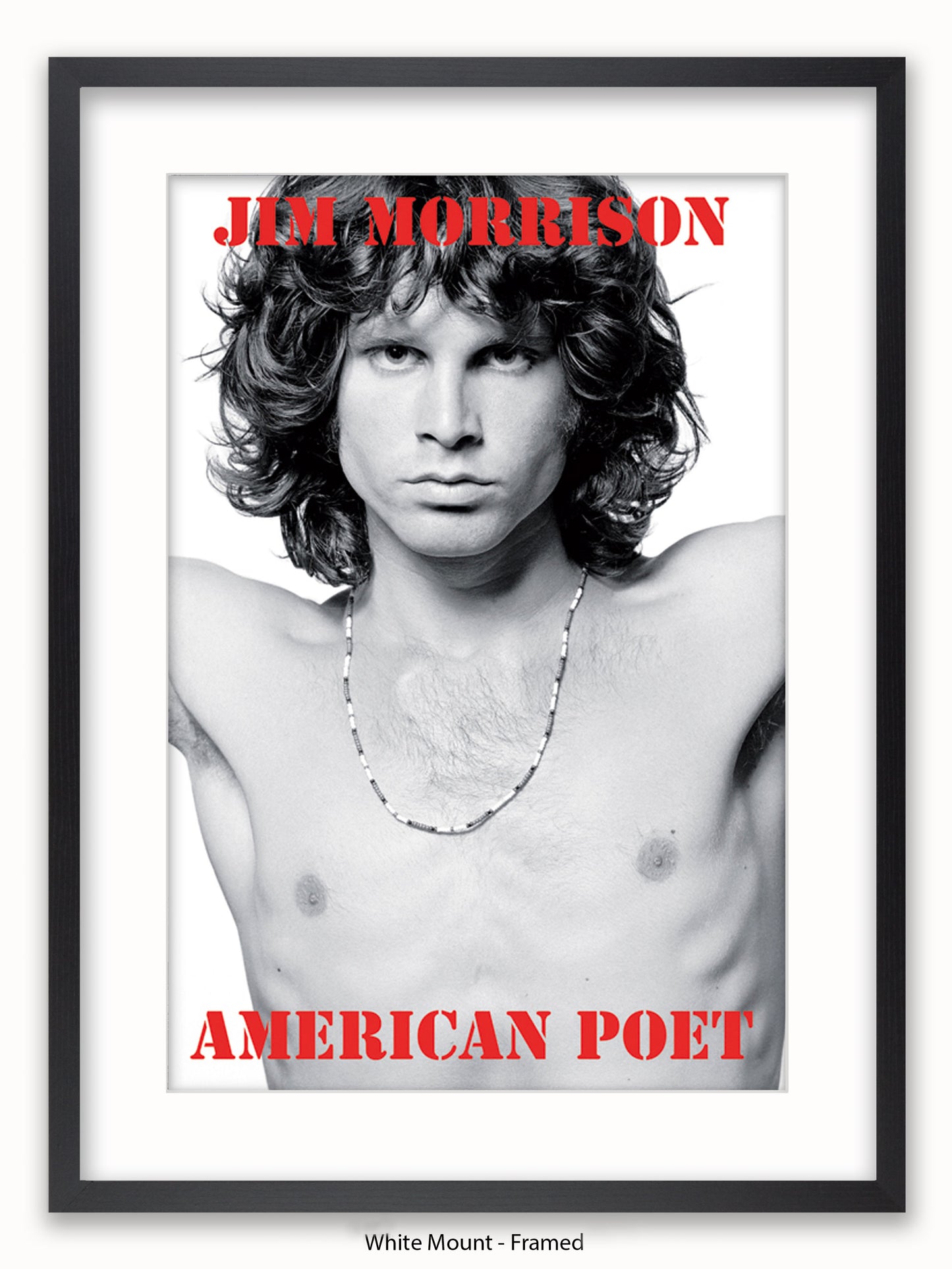 Jim Morrison The Doors An American Poet Poster