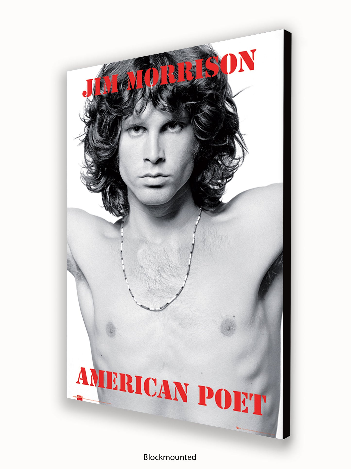 Jim Morrison The Doors An American Poet Poster