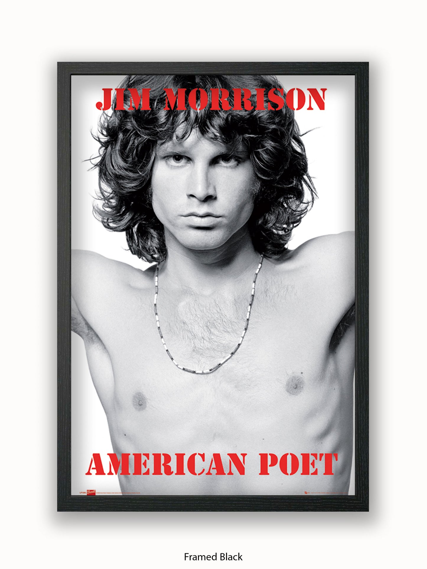 Jim Morrison The Doors An American Poet Poster