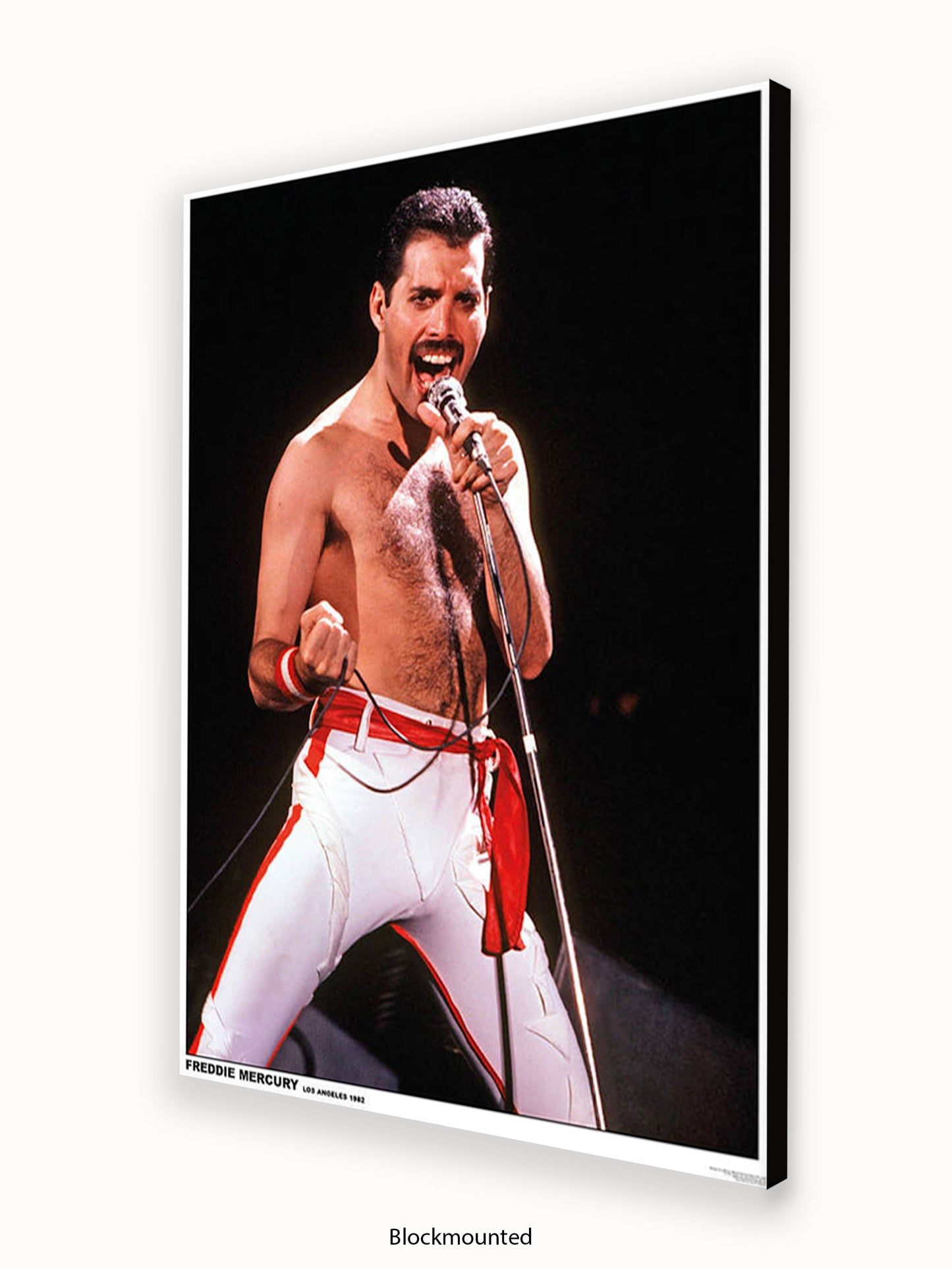 Queen - Freddie Mercury - Los Angeles 1982 - Poster