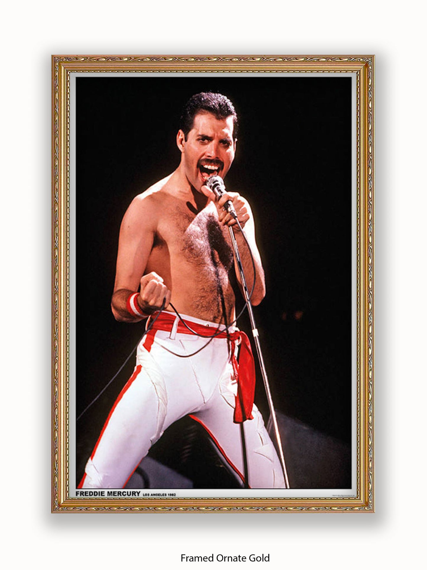 Queen - Freddie Mercury - Los Angeles 1982 - Poster