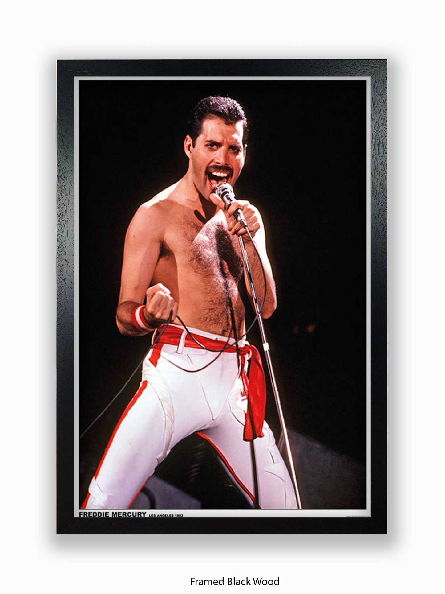 Queen - Freddie Mercury - Los Angeles 1982 - Poster