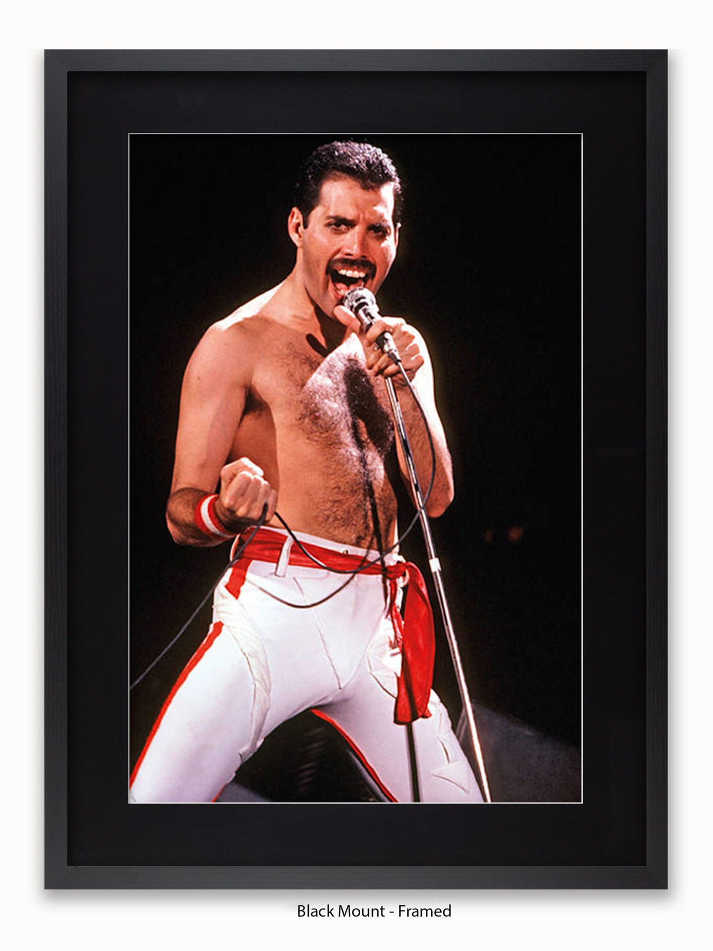 Queen - Freddie Mercury - Los Angeles 1982 - Poster