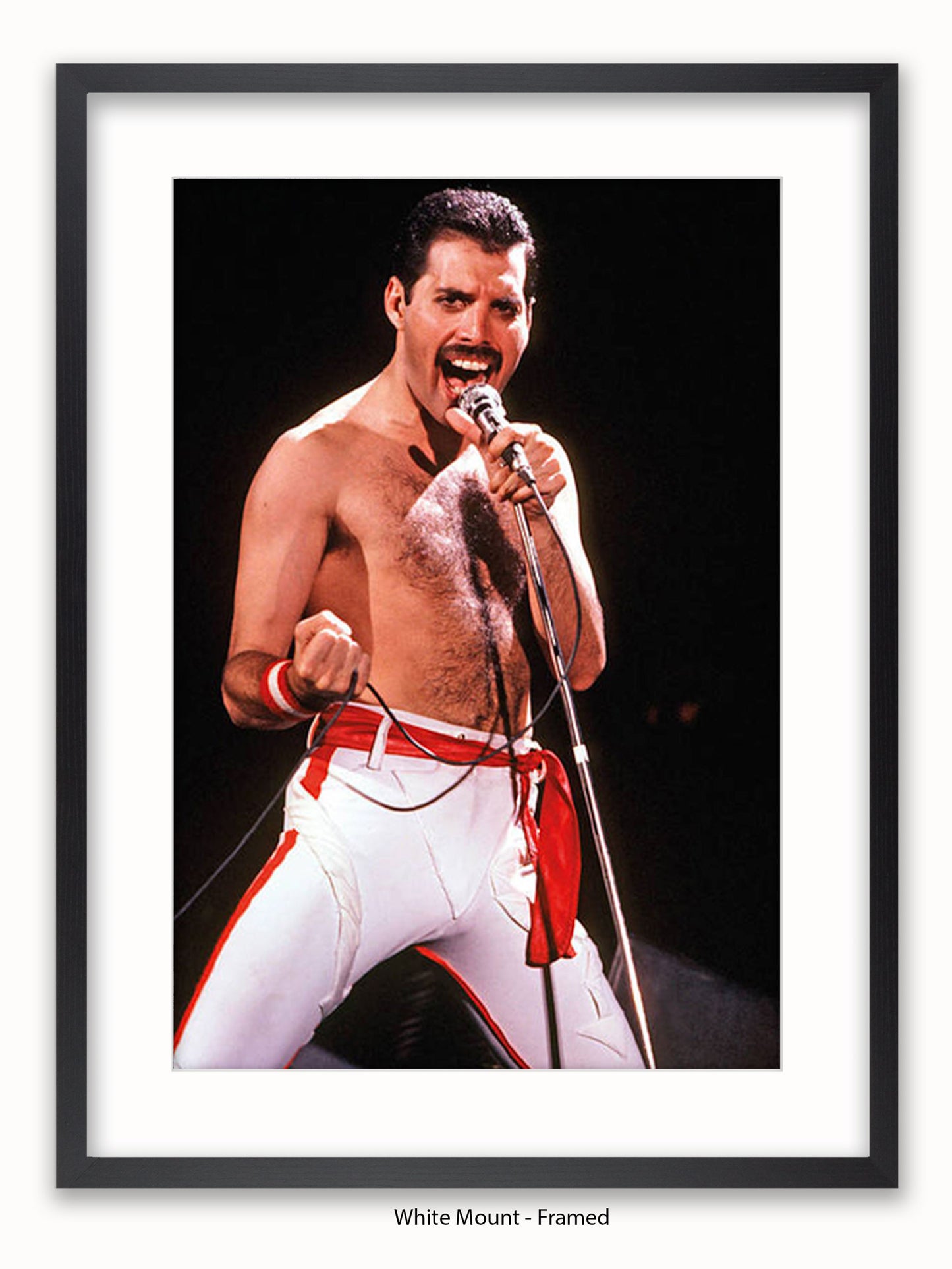 Queen - Freddie Mercury - Los Angeles 1982 - Poster