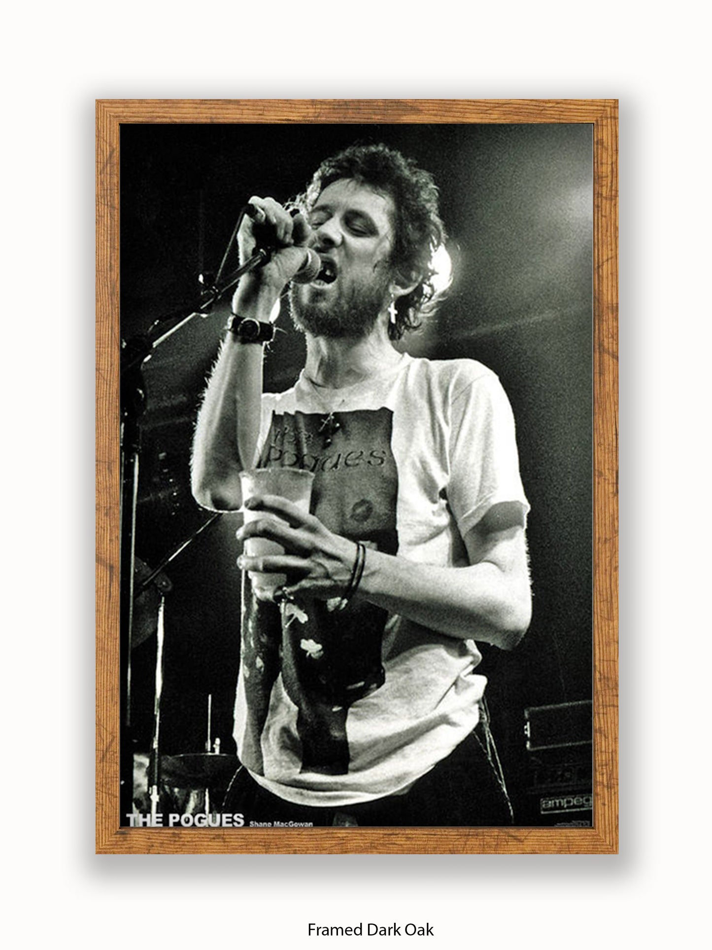 Shane Macgowan - The Pogues - Poster