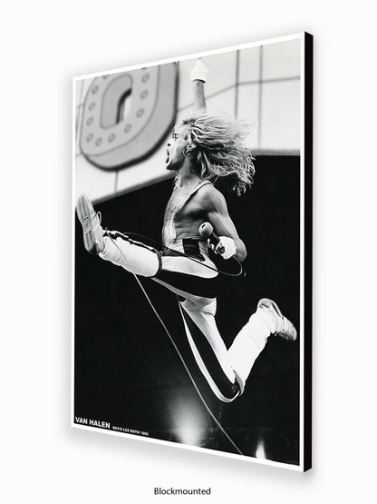 Van Halen - David Lee Roth 1980 - Poster