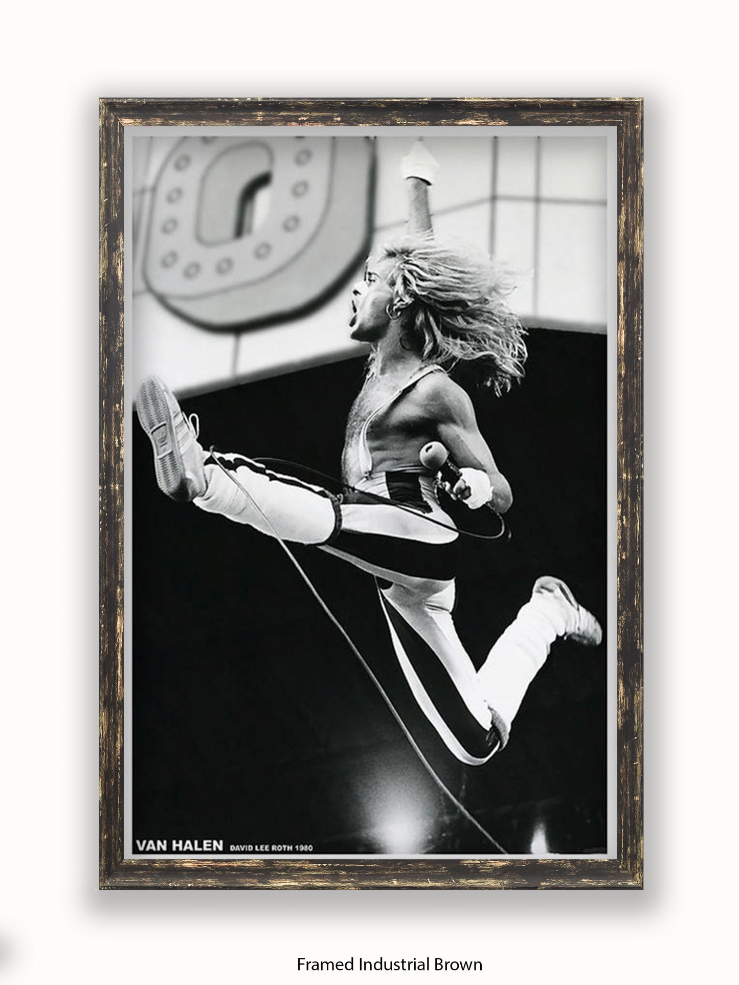 Van Halen - David Lee Roth 1980 - Poster