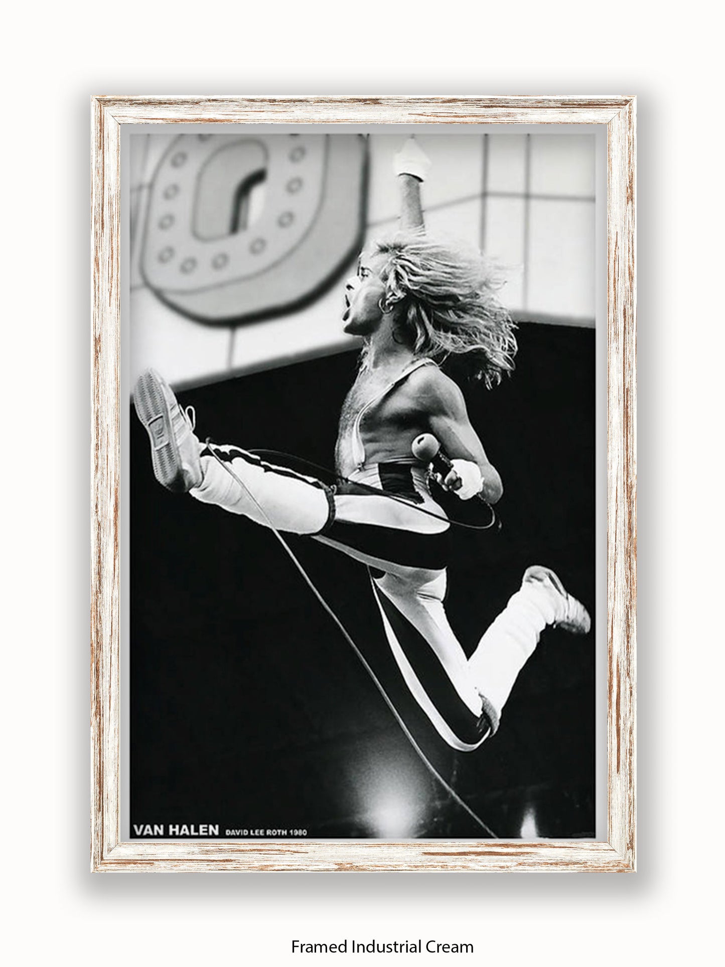 Van Halen - David Lee Roth 1980 - Poster