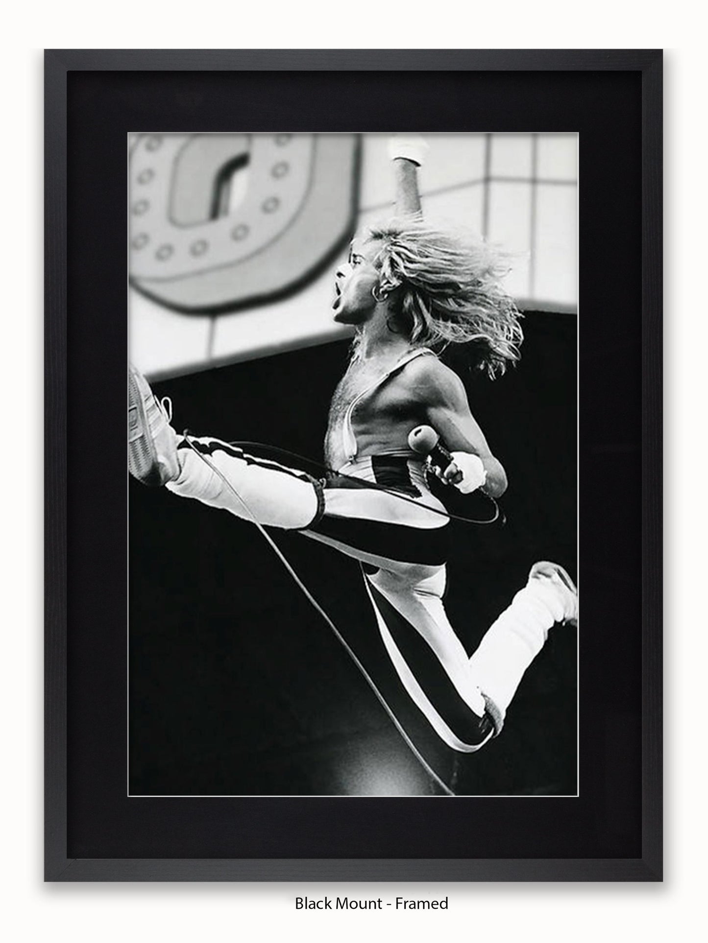 Van Halen - David Lee Roth 1980 - Poster