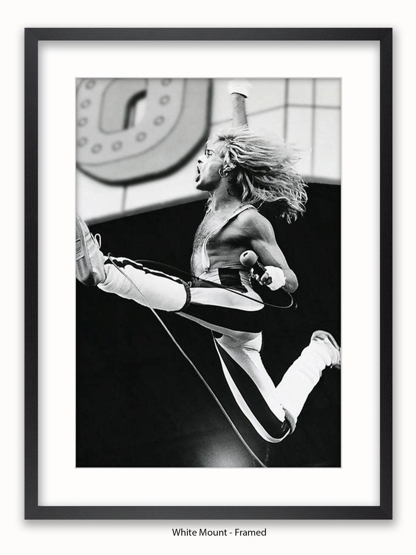 Van Halen - David Lee Roth 1980 - Poster