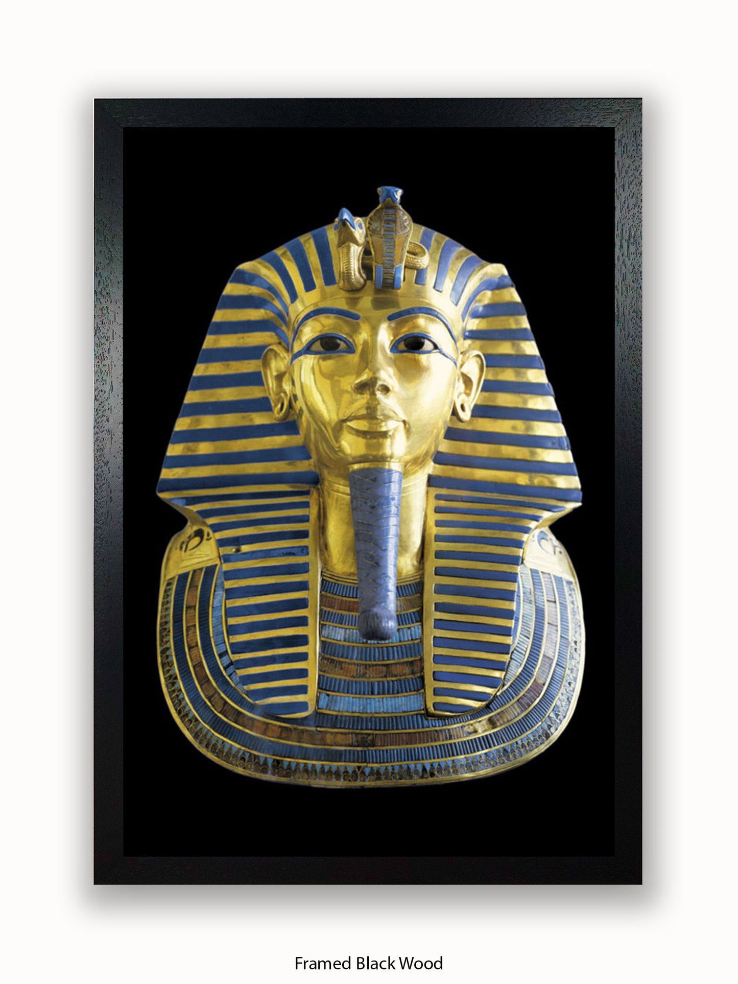 King Tut Egyptian God Poster